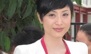 陈法蓉演过的电视剧 陈法蓉演过的电视剧