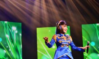 凤凰飞dj版乌兰图雅