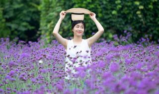 紫色心情是什么东西 紫色心情是什么东西