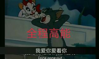 猫和老鼠消失的22集 猫和老鼠消失的22集