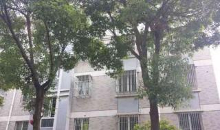 张家港市塘桥镇 张家港市塘桥镇