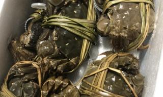 蟹状元大闸蟹礼品卡 蟹状元大闸蟹礼品卡