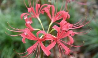 夏末初秋的爱情 夏末初秋的爱情