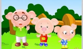 雨后的小故事图 雨后的小故事图