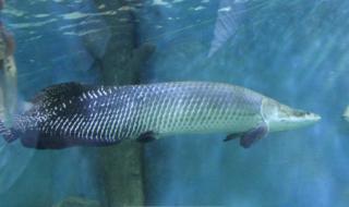 苏州海洋馆地址 苏州海洋馆地址