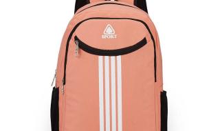 电脑屏幕出现雪花点