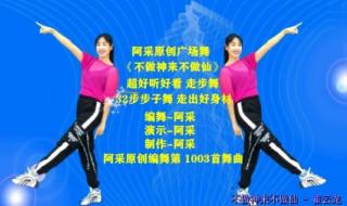 不做神来不做仙原唱