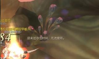 永恒之塔剑星武器 永恒之塔剑星武器