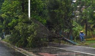 上海地铁停运通知 上海地铁停运通知