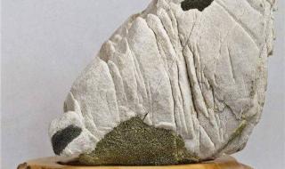 石家庄博纳国际影城 石家庄博纳国际影城