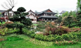 重庆铁山坪 重庆铁山坪