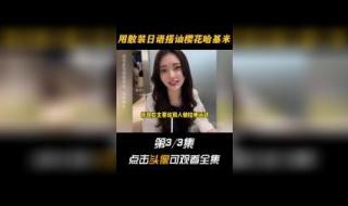 哈基米日语什么意思 哈基米日语什么意思