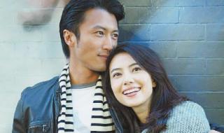 谢霆锋电影 谢霆锋电影