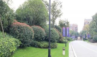 新力帝泊湾 新力帝泊湾