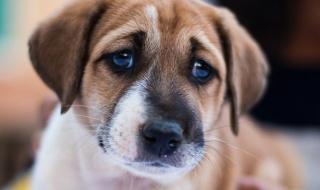 需要你的爱 需要你的爱