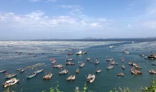 舟山枸杞岛 舟山枸杞岛