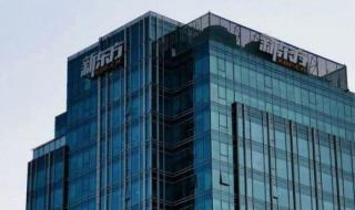 新东方甄选 新东方甄选