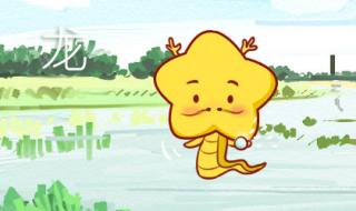 2024龙年龘吉 2024龙年龘吉