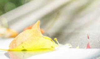 怎样删除qq空间 怎样删除qq空间