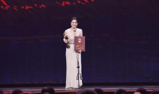 27届金鸡奖 27届金鸡奖