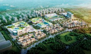 兴隆大家庭 兴隆大家庭