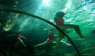 富国海底世界好玩吗 富国海底世界好玩吗