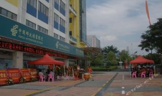 深圳社保查询个人账户 深圳社保查询个人账户