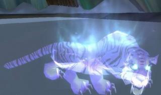 魔兽世界灵魂兽大全