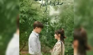 蜥蜴先生和乌鸦小姐 蜥蜴先生和乌鸦小姐