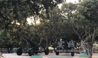 深圳卫视军事节目 深圳卫视军事节目