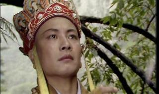 新西游记唐僧 新西游记唐僧