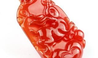 象是哪个民族的生肖 象是哪个民族的生肖