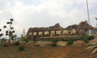 西双版纳嘎洒机场 西双版纳嘎洒机场