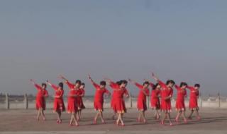 少儿舞蹈大家一起来 少儿舞蹈大家一起来