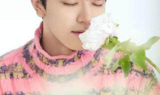 机智的上半场沈月官配 机智的上半场沈月官配