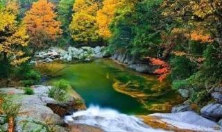 米仓山国家森林公园