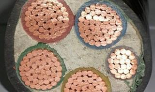 金龙羽电缆有限公司