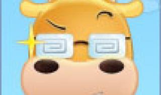 2012年欧洲杯决赛首发